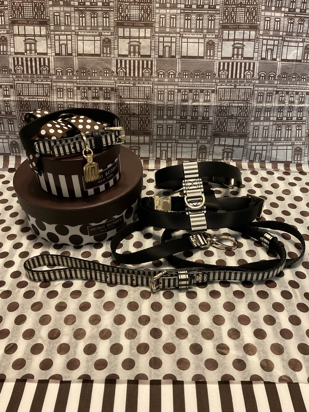 EUC Henri Bendel Pet Set - Collar, Harness and Leash